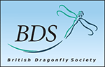 bdslogo